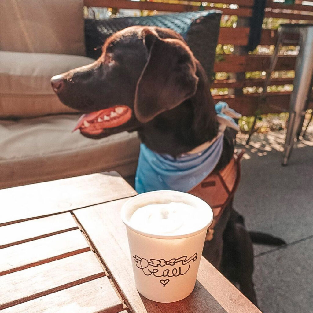 犬・カフェ・コーヒー