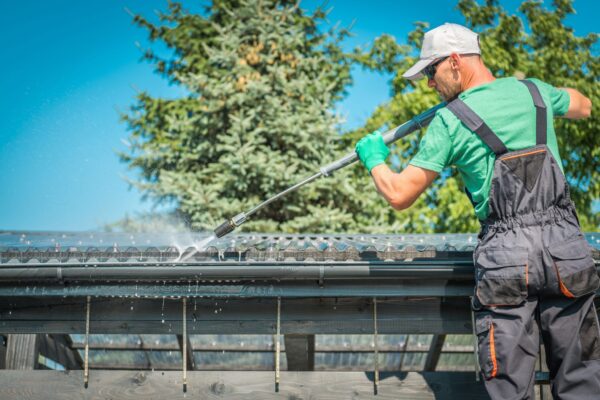 roof-and-gutters-cleaning