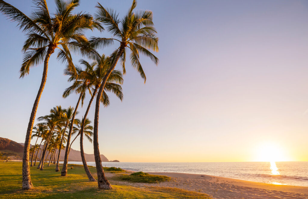 tropical-beach-sunset